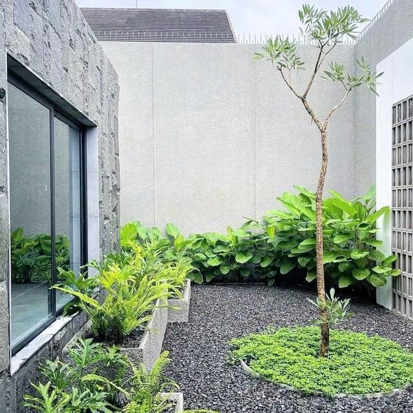 jasa taman kering