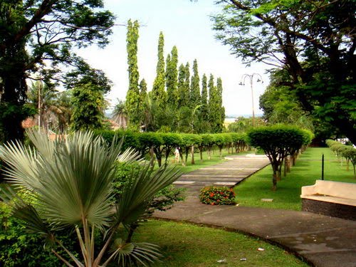 Kontraktor Landscape Bekasi