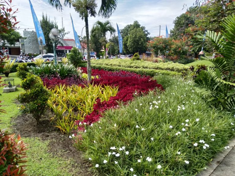 kontraktor landscape Pandeglang