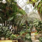 Jasa Taman Cafe Outdoor