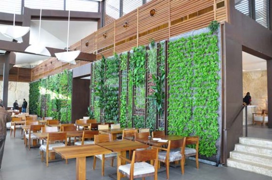 Jasa Taman Cafe Vertikal Garden