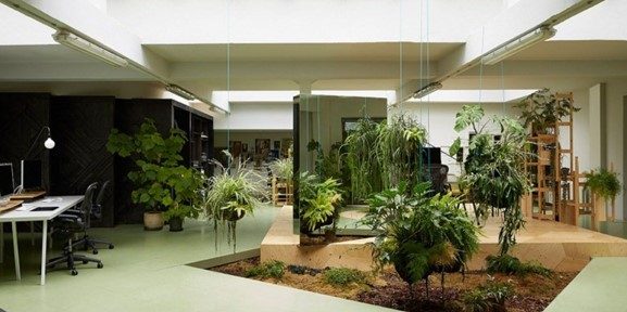 Jasa Taman Hotel Indoor