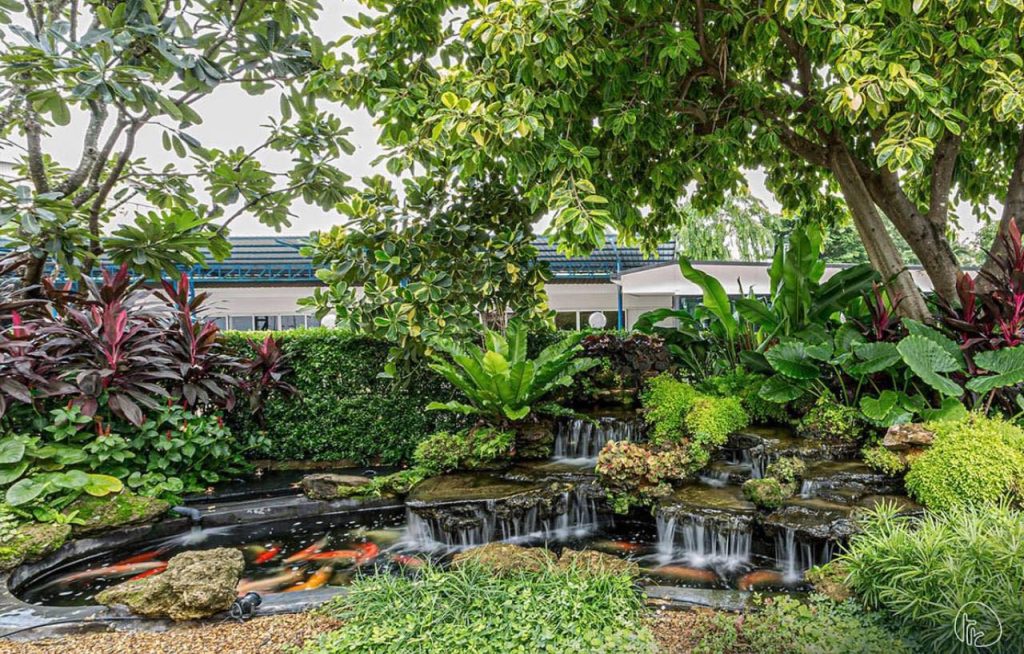 Jasa Pembuatan Kolam Natural