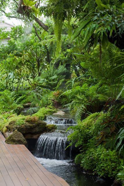 Jasa Pembuatan Kolam Natural