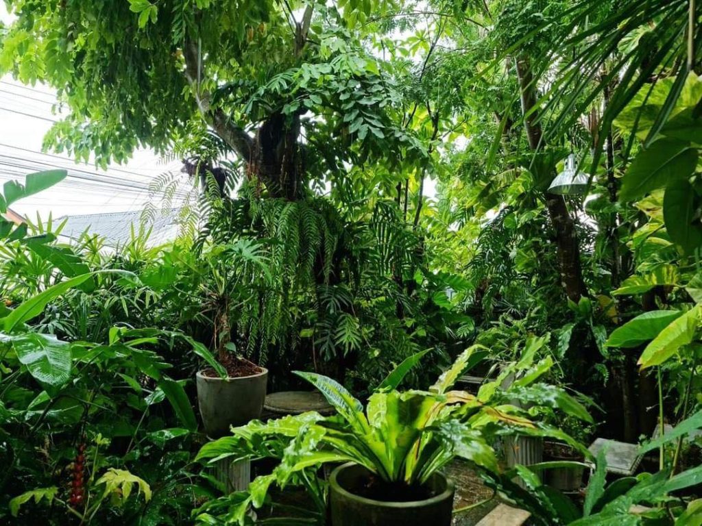 Jasa Taman Karanganyar