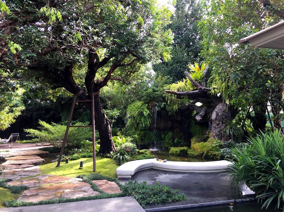 Jasa Pembuatan Kolam Natural